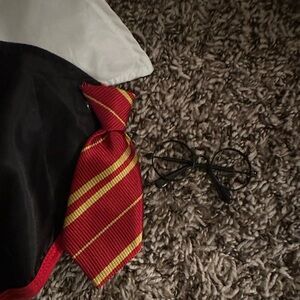 Harry Potter pet costume